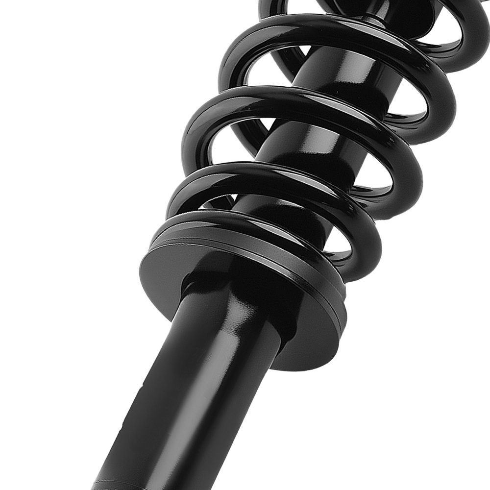 Front Left Right Struts w/Coil Springs Assembly compatible for Toyota Sequoia 2008-2022 4WD