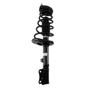 Rear Complete Struts Coil Spring LeftRight compatible for Toyota Avalon 2004 2005 172455