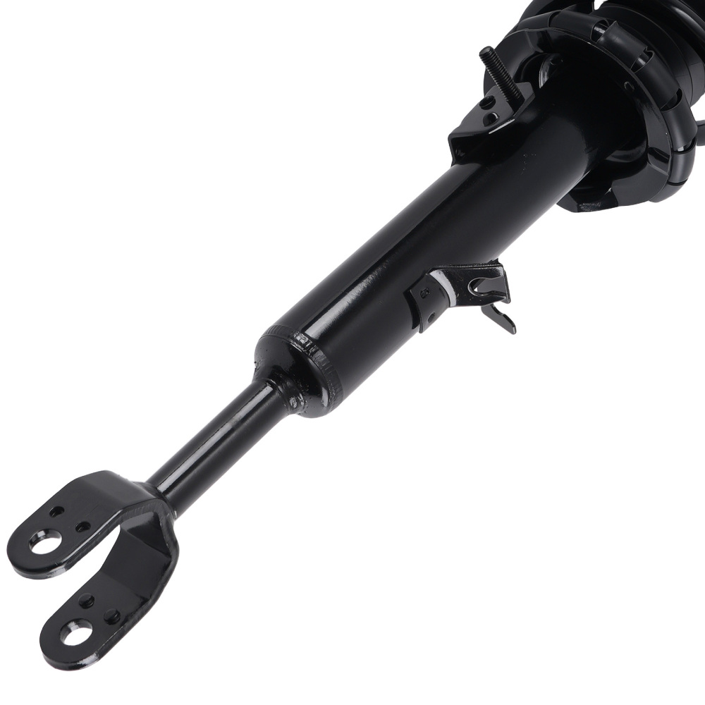 Rear Front Complete Struts w/Coil Springs compatible for INFINITI G35 2003-2006 RWD Coupe