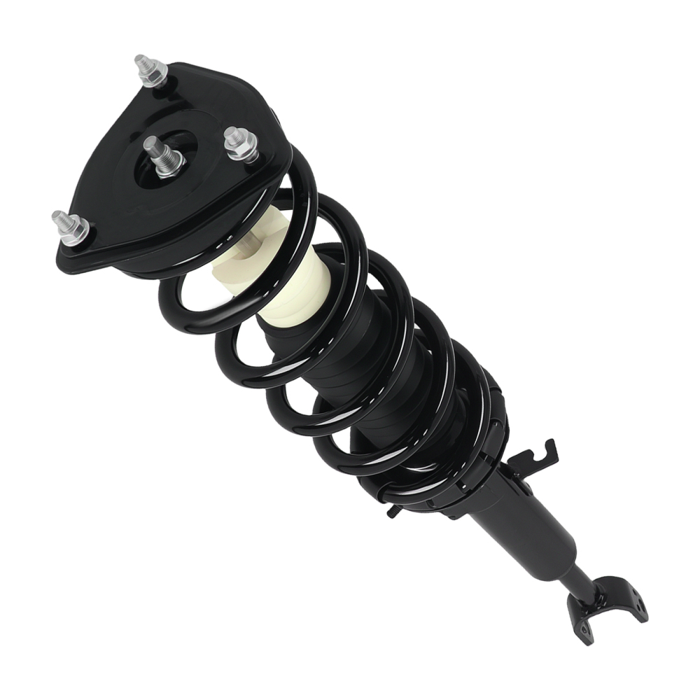 Pair Front Complete Struts w/Coil Springs compatible for Infiniti G35 RWD 2003-2007 171117