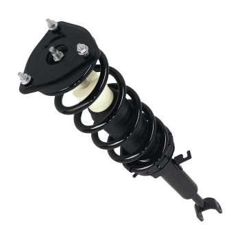 Pair Front Complete Struts w/Coil Springs compatible for Infiniti G35 RWD 2003-2007 171117