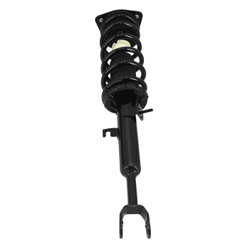 Pair Front Complete Struts w/Coil Springs compatible for Infiniti G35 RWD 2003-2007 171117