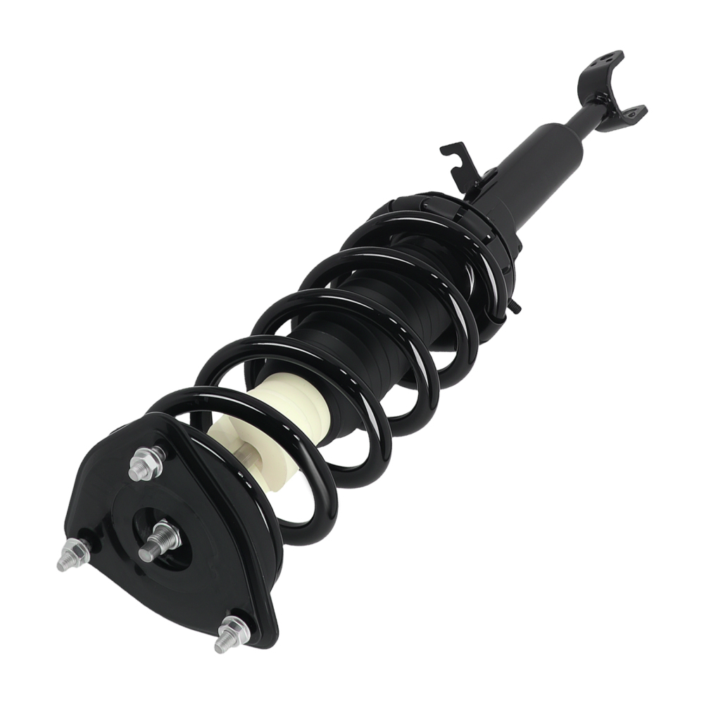 Pair Front Complete Struts w/Coil Springs compatible for Infiniti G35 RWD 2003-2007 171117