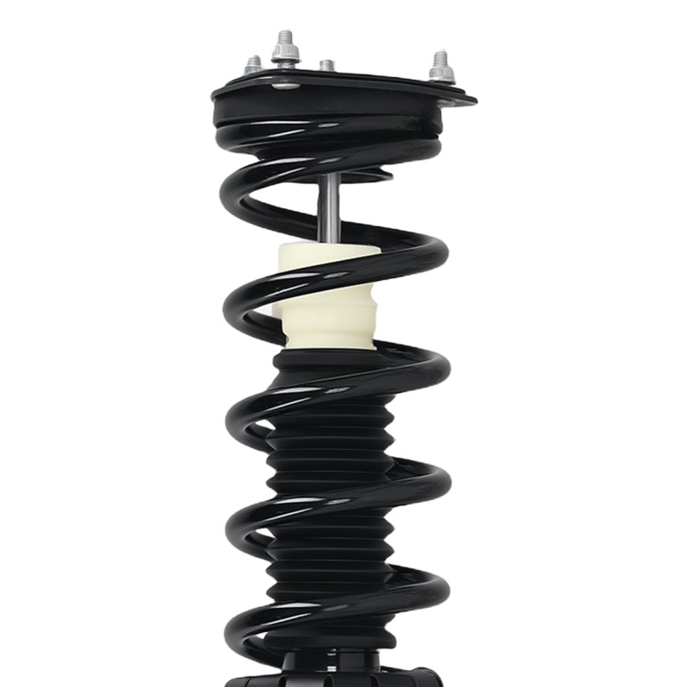 Pair Front Complete Struts w/Coil Springs compatible for Infiniti G35 RWD 2003-2007 171117