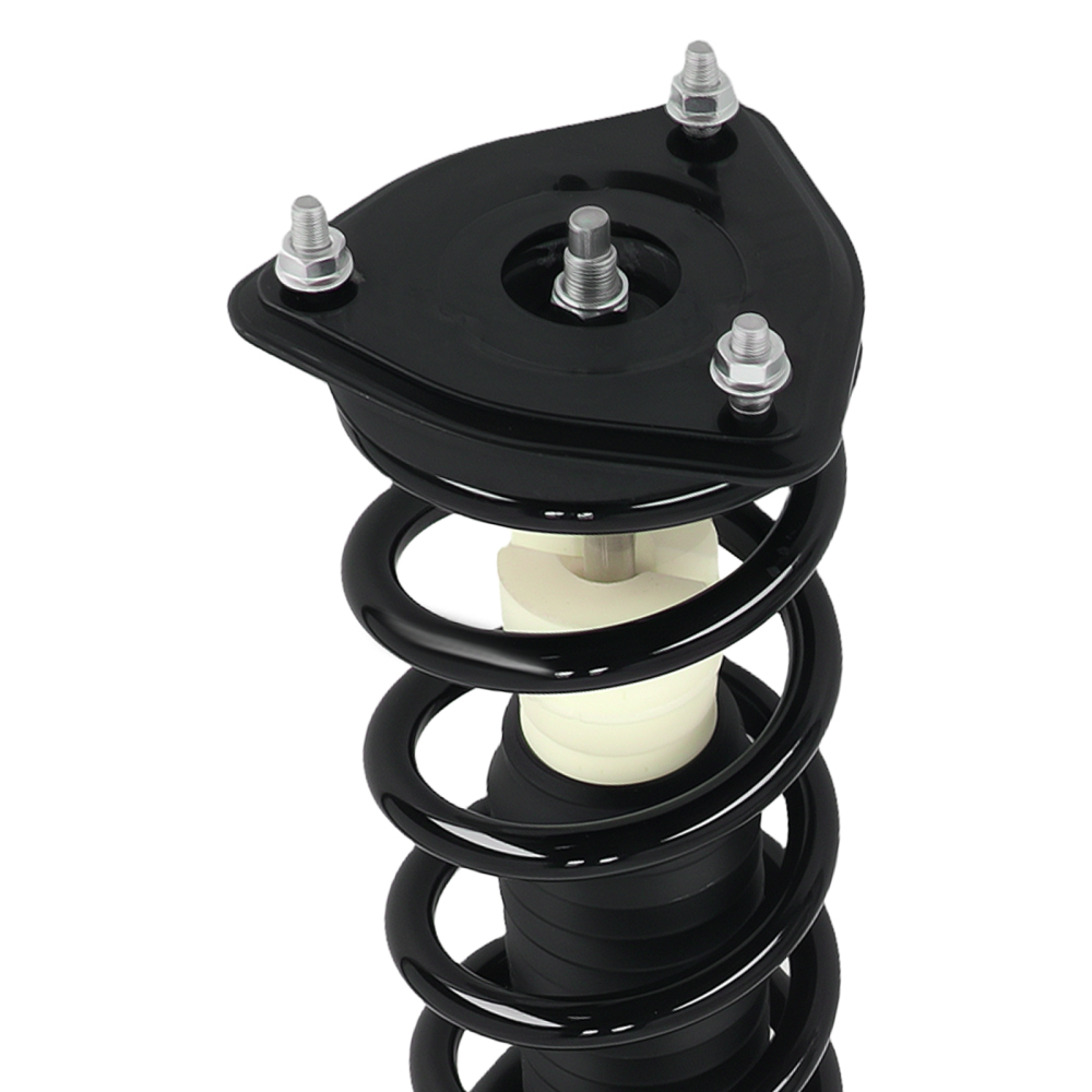 Pair Front Complete Struts w/Coil Springs compatible for Infiniti G35 RWD 2003-2007 171117