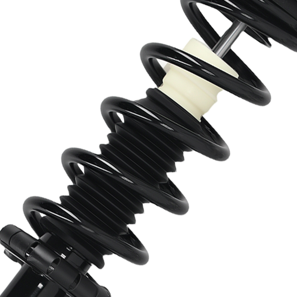 Pair Front Complete Struts w/Coil Springs compatible for Infiniti G35 RWD 2003-2007 171117