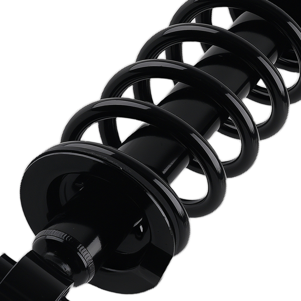 RWD Rear Struts w/ Coil Spring Assembly for 2006-2013 compatible for Lexus IS250 IS350 Sedan