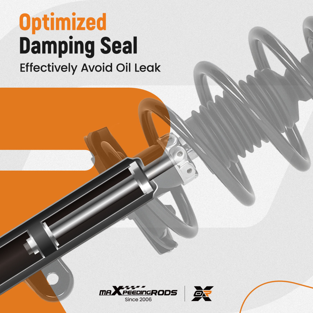 Suspension Rear Front Struts Assembly compatible for Hyundai Santa Fe 2010-2012 2.4L 3.5L