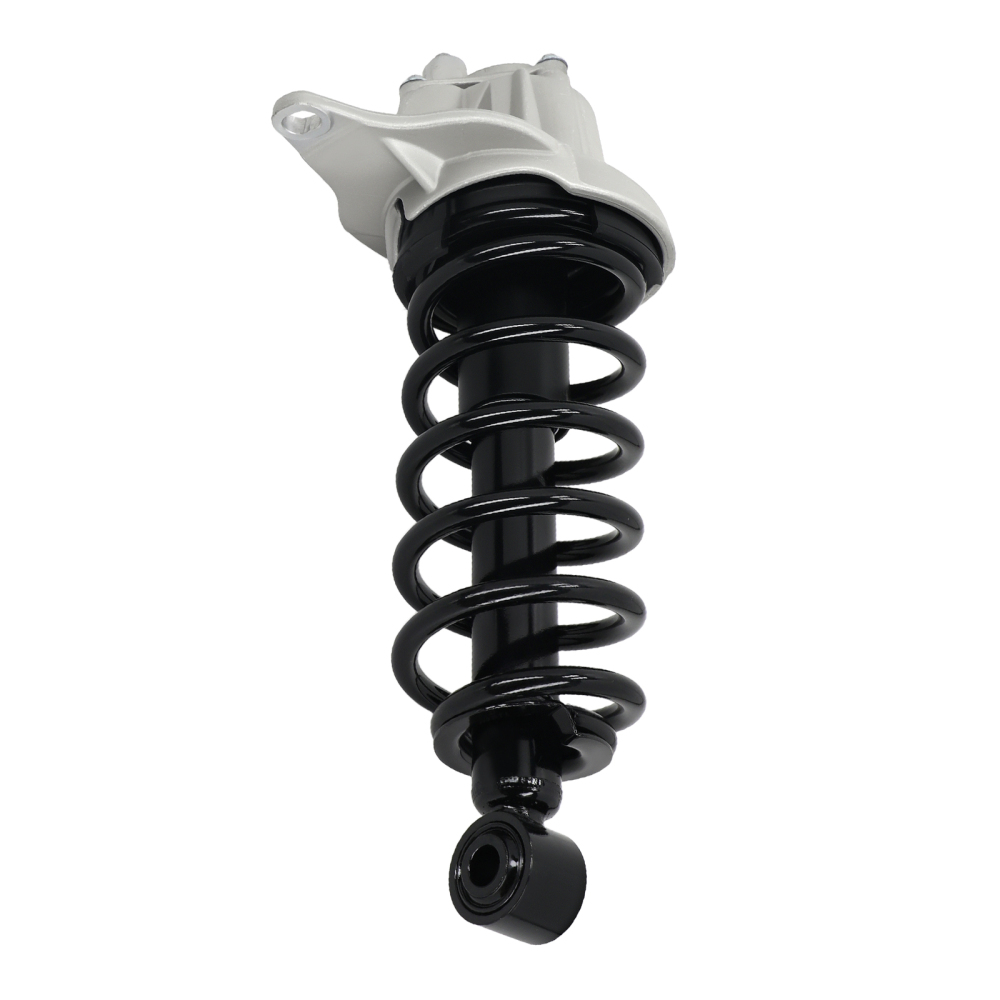 2x Rear Struts w/Coil Spring Assembly compatible for Volvo XC70 2003-2007 AWD 1345823L NEW