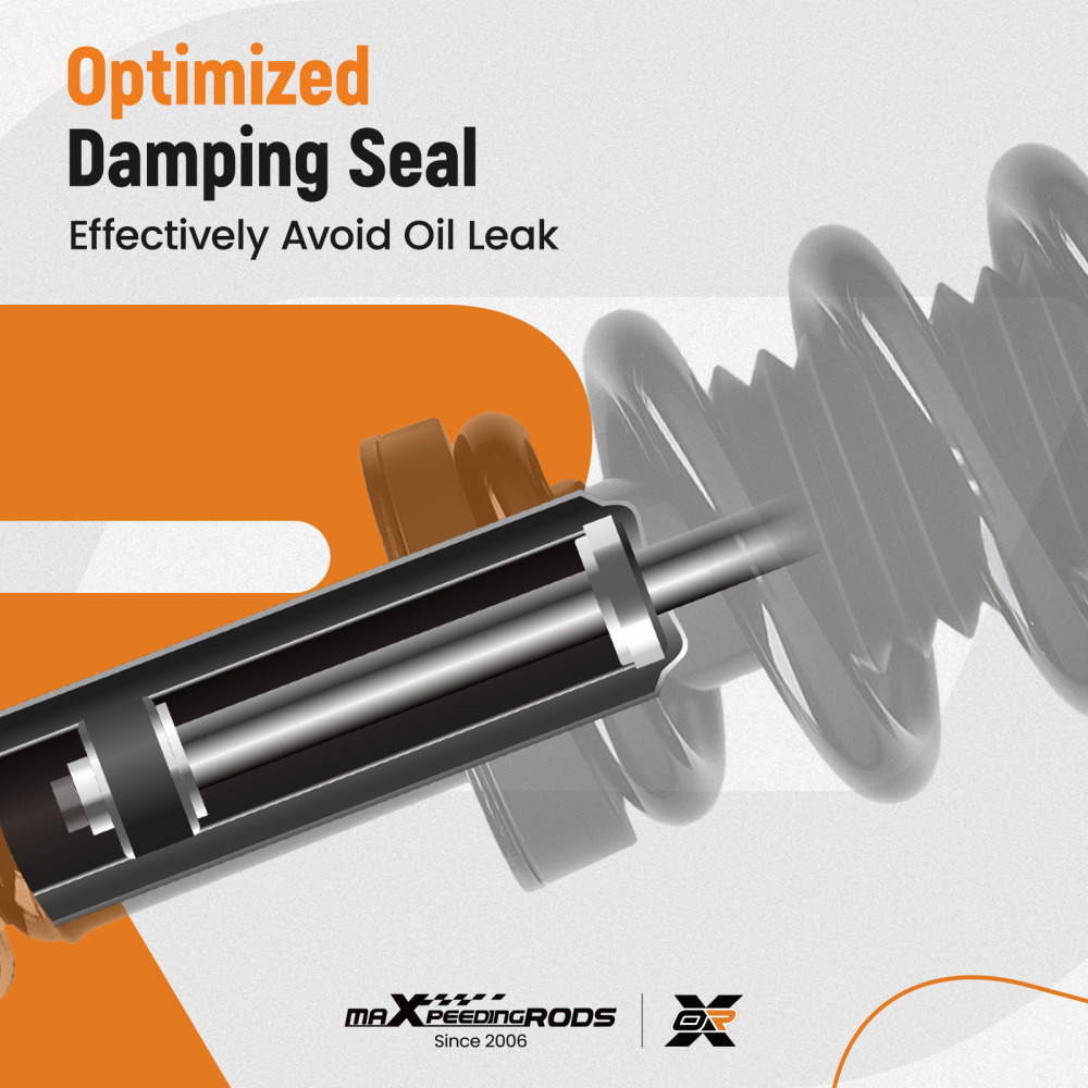 Suspension Rear Front Struts Assembly compatible for DODGE RAM 1500 09-10 compatible for RAM 1500 11-18