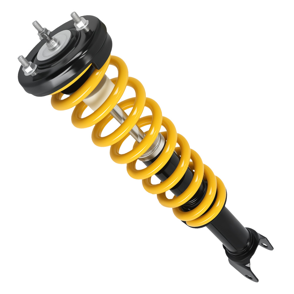 Front Complete Shock Absorber compatible for Ford Falcon Fairmont 2002-2008 Assembly