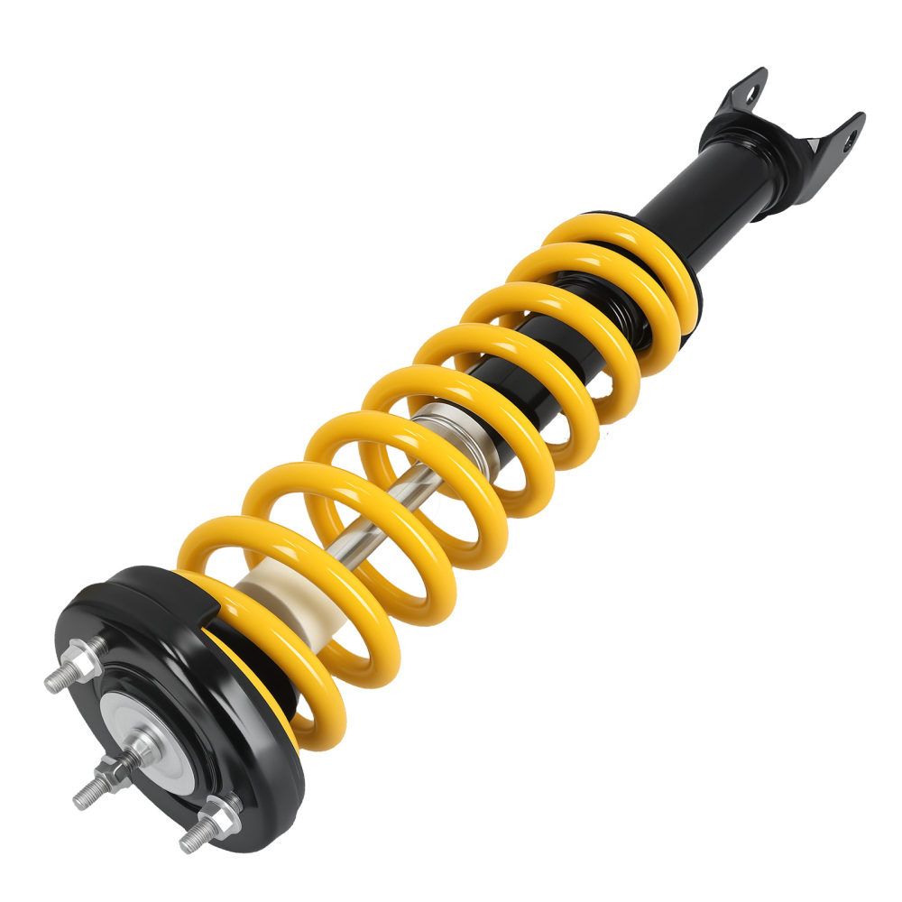 Front Complete Shock Absorber compatible for Ford Falcon Fairmont 2002-2008 Assembly