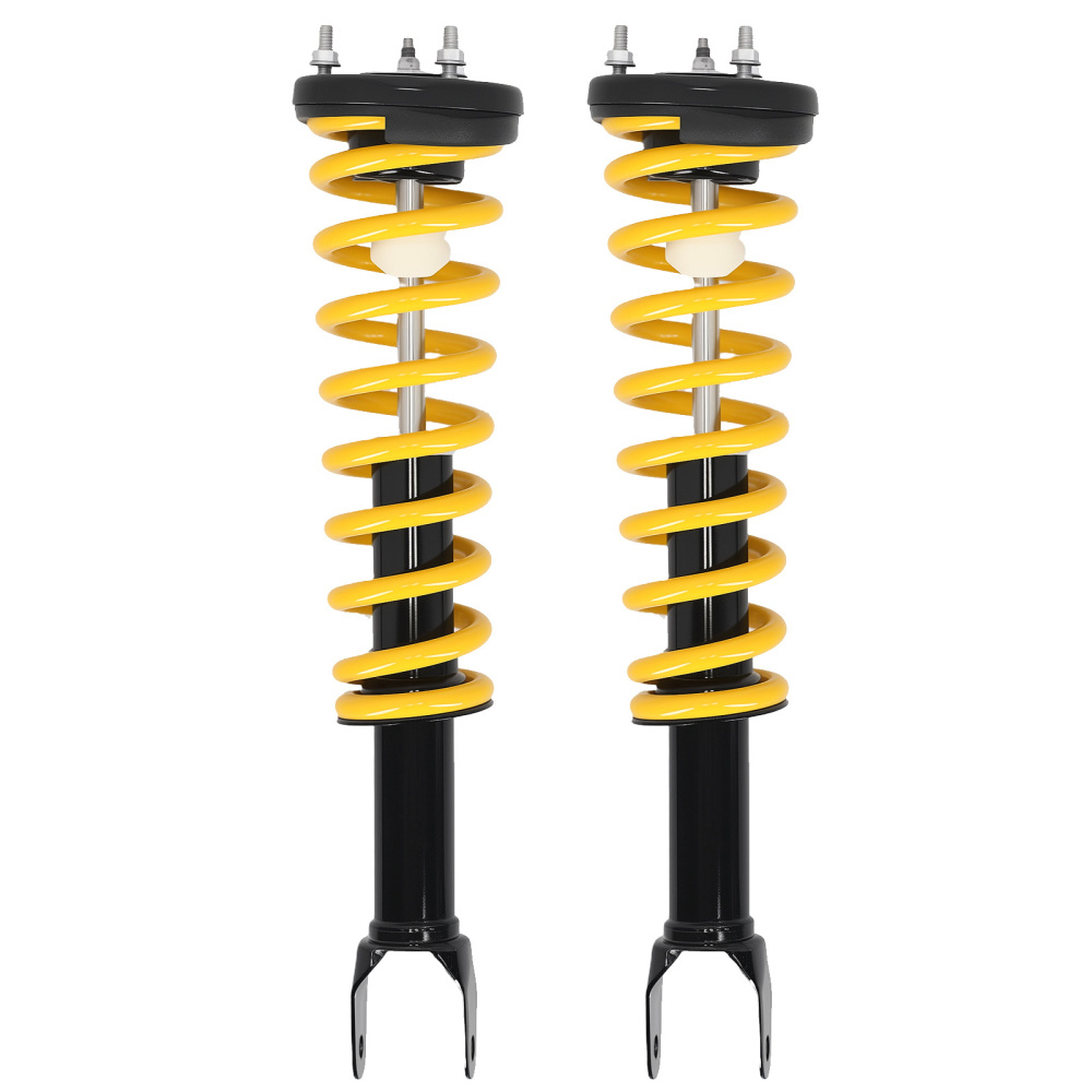 Front Complete Shock Absorber compatible for Ford Falcon Fairmont 2002-2008 Assembly