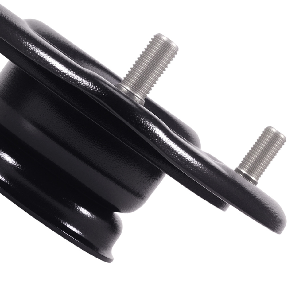 2x Cuscinetti A Cupola Anteriori compatibile per Hyundai Ix55 Santa compatibile per Kia Carnival VQ