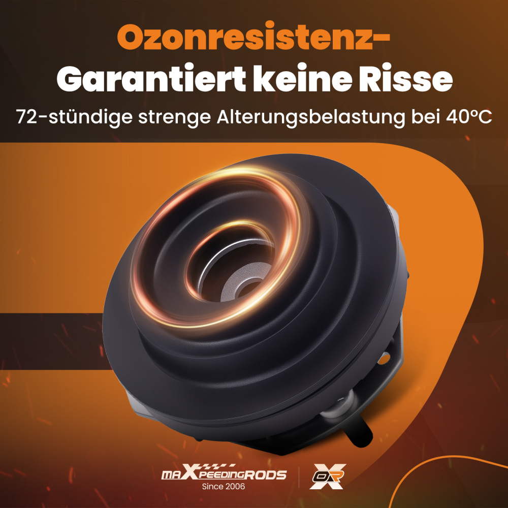 Ammortizzatore TOP Mount compatibile per Ford Fiesta VI 2008-2018 Anteriore 39922 1526778