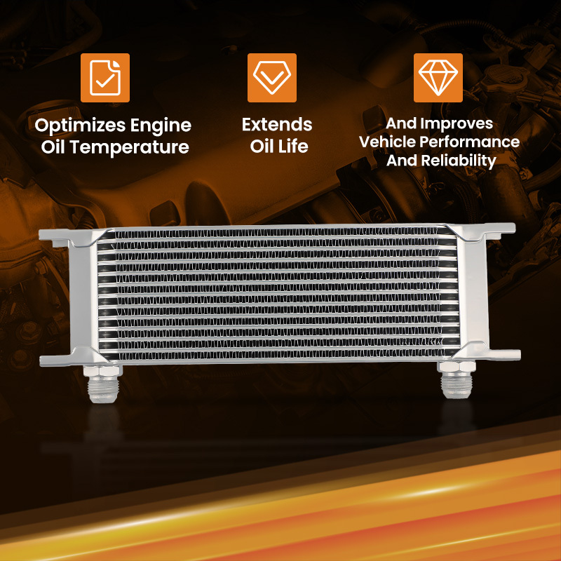 13 Row Kit radiatore olio universale AN-10 AN10 Oil cooler installation kit