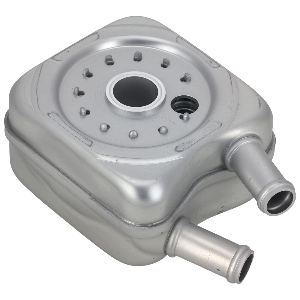 Radiatore olio motore compatibile per Audi 80 A3 A4 8D B5 A6 4A C4 4B C5 A8 4D TT compatibile per VW Bora