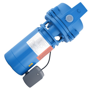 Booster Service Pump for J5S Electric Water Wellnew Shallow Well Jet Pump