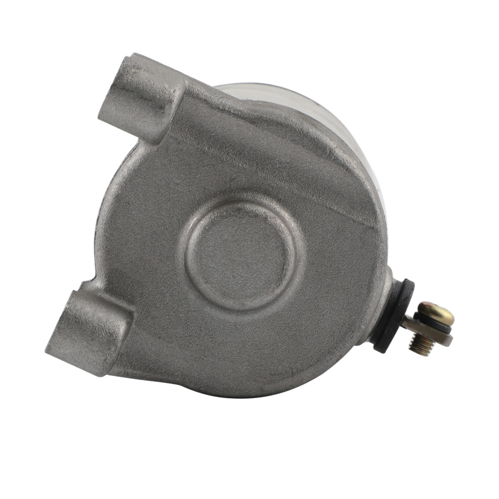 Motor démarreur compatible pour Yamaha YFM25R compatible pour Raptor 250 2008-2013 Special Edition 2 08-09