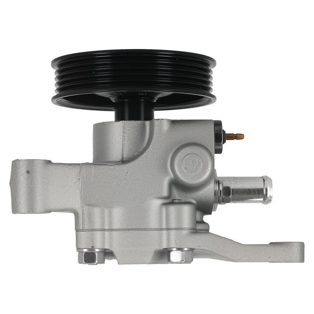 Power Steering Pump compatible for Hyundai Santa Fe/Compatible for Kia Sedona V6 3.5L 2002-06 21-5354
