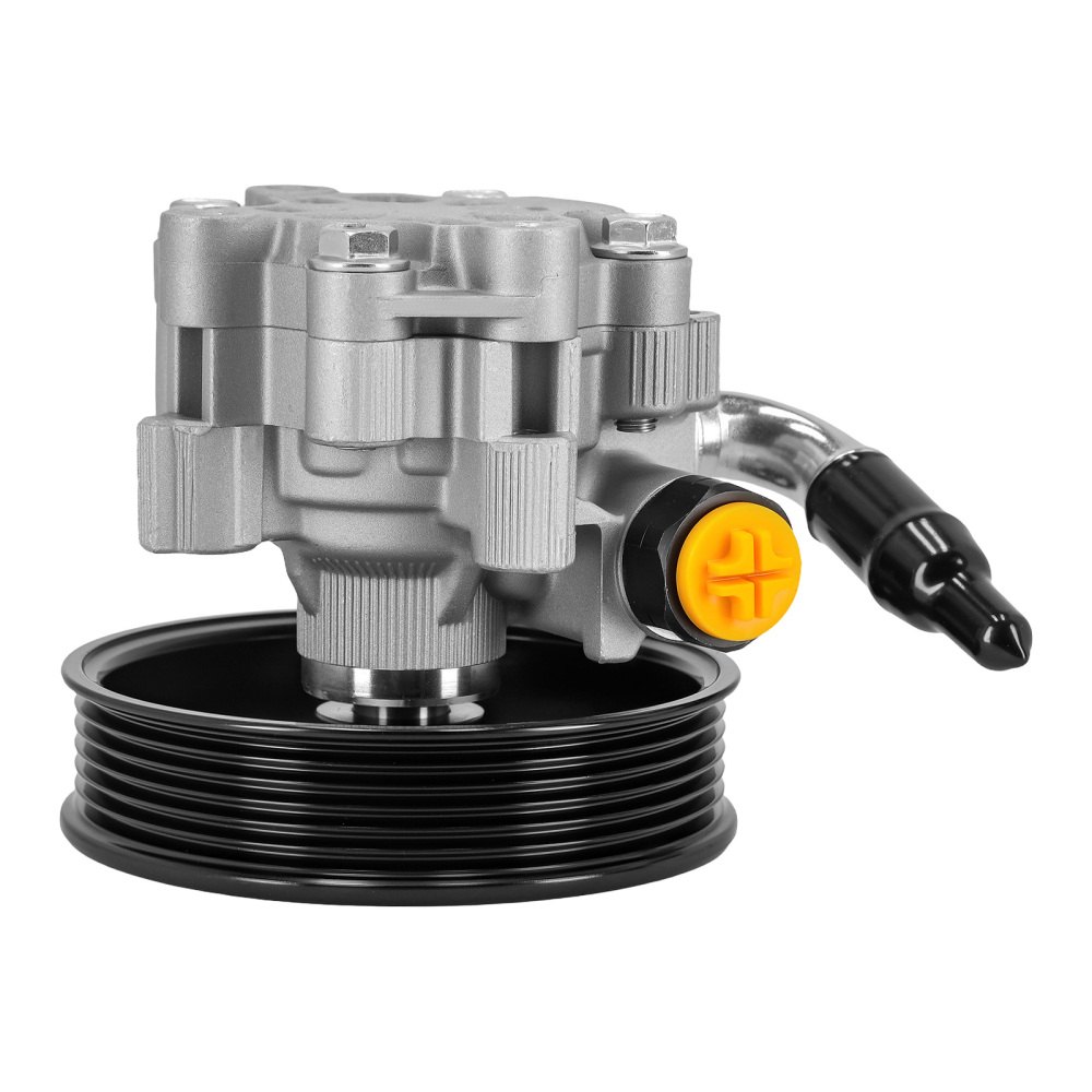 POWER STEERING PUMP compatible for Chevrolet Captiva compatible for Opel Antara 2010-On 95476164