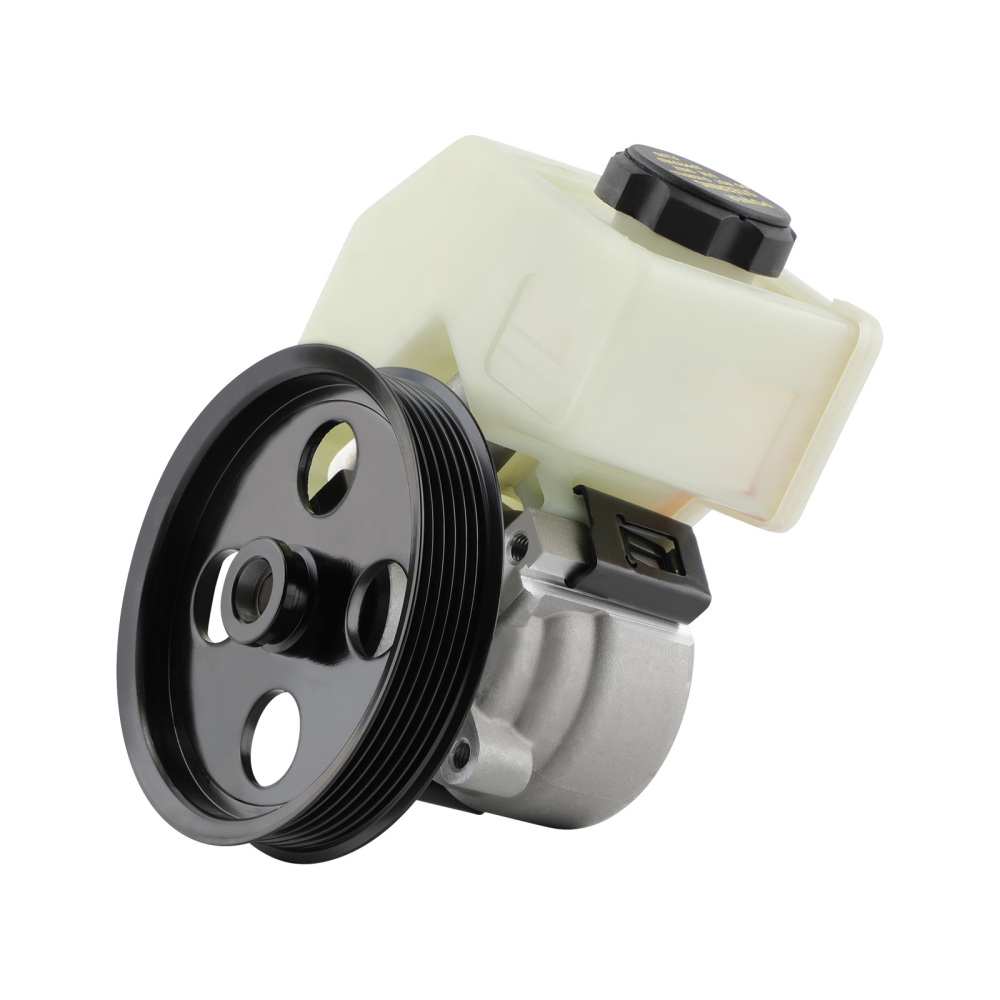 Power Steering Pump compatible for Ford Falcon BA BF FG Territory SX SY 4.0L 6cyl XR6 LPG