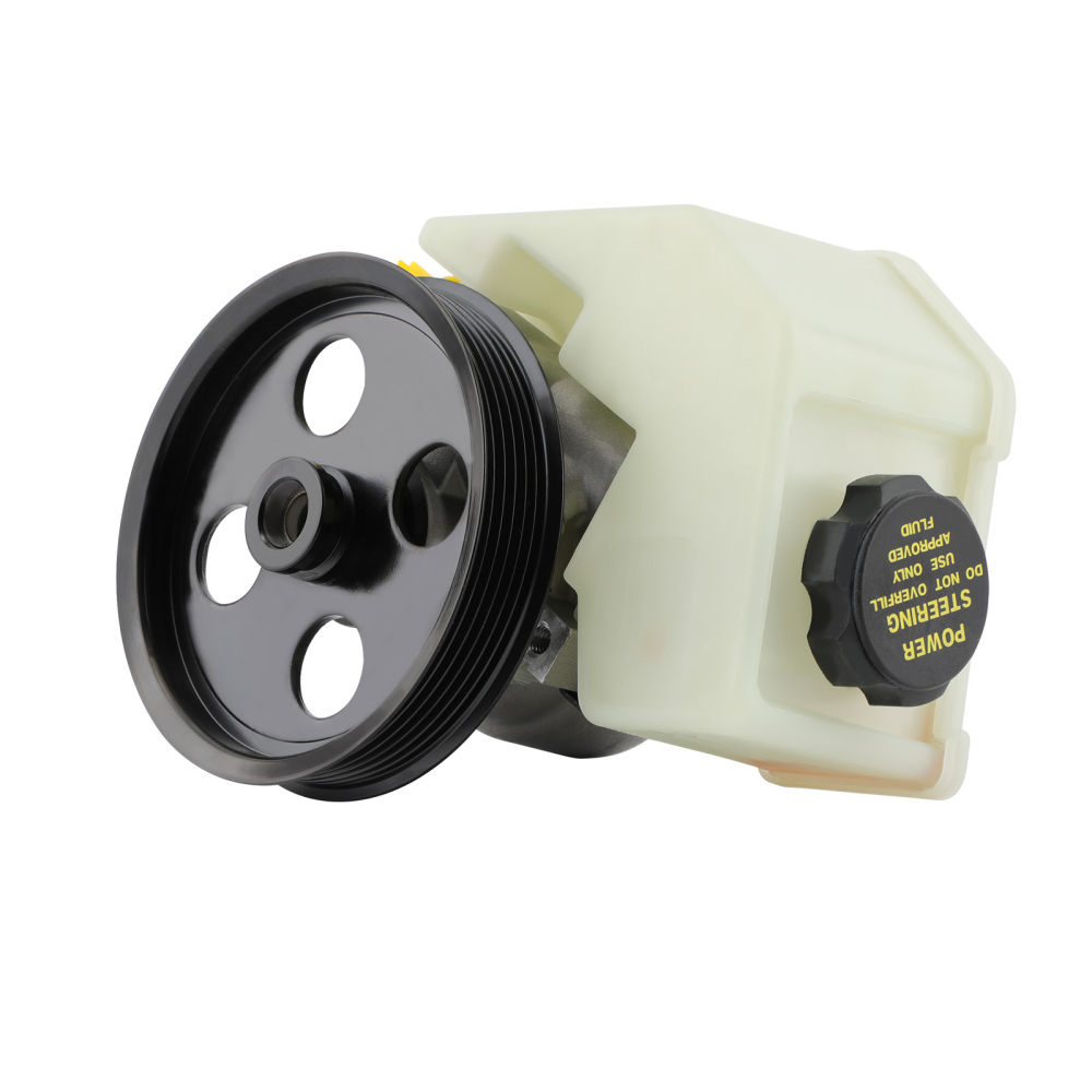 Power Steering Pump compatible for Ford Falcon BA BF FG Territory SX SY 4.0L 6cyl XR6 LPG