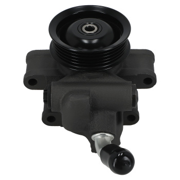 Power Steering Pump compatible for Ford Fiesta JH JD Fusion JU compatible for Mazda 2 DY 2002-2008 1357617