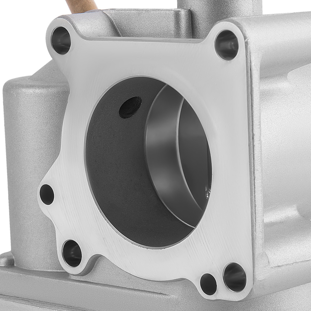 Corpo Farfallato compatibile per VW New Beetle Lupo compatibile per Skoda Fabia compatibile per Seat Ibiza compatibile per Audi 