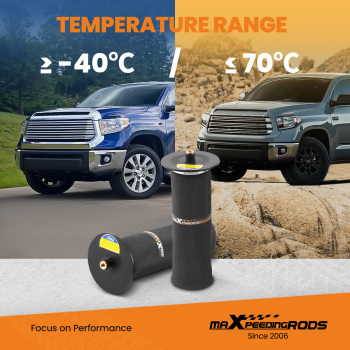 Rear Air Spring Suspension Bag Kit compatible for Ford F-150 PICKUP 2WD 4WD 2010-2014