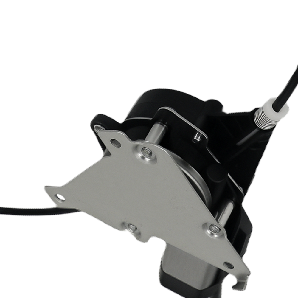 Electric Window Regulator w/ Motor Rear Left compatible for Lincoln Town Car 1998-2011