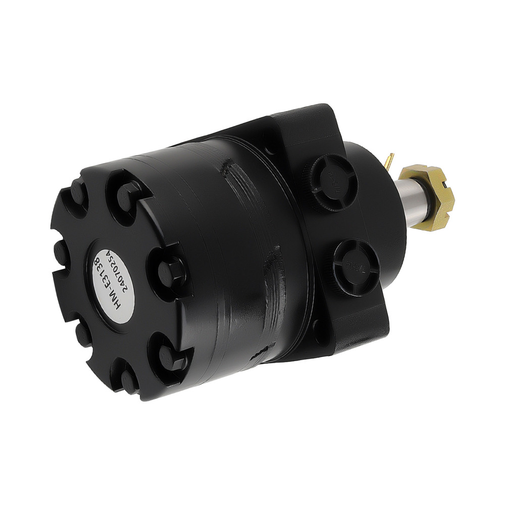 Wheel Motor Fit Oregon 27-504 Hydro Gear HGM-15E-3138 Scag 483190 600922 5100407