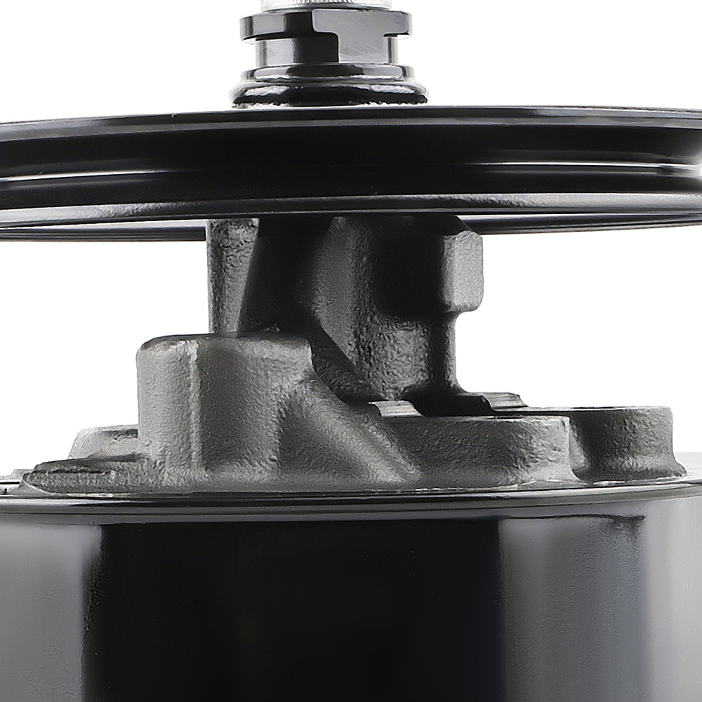 pompe de direction assistée compatible pour CHROME POWER STEERING PUMP A-CAN STYLE