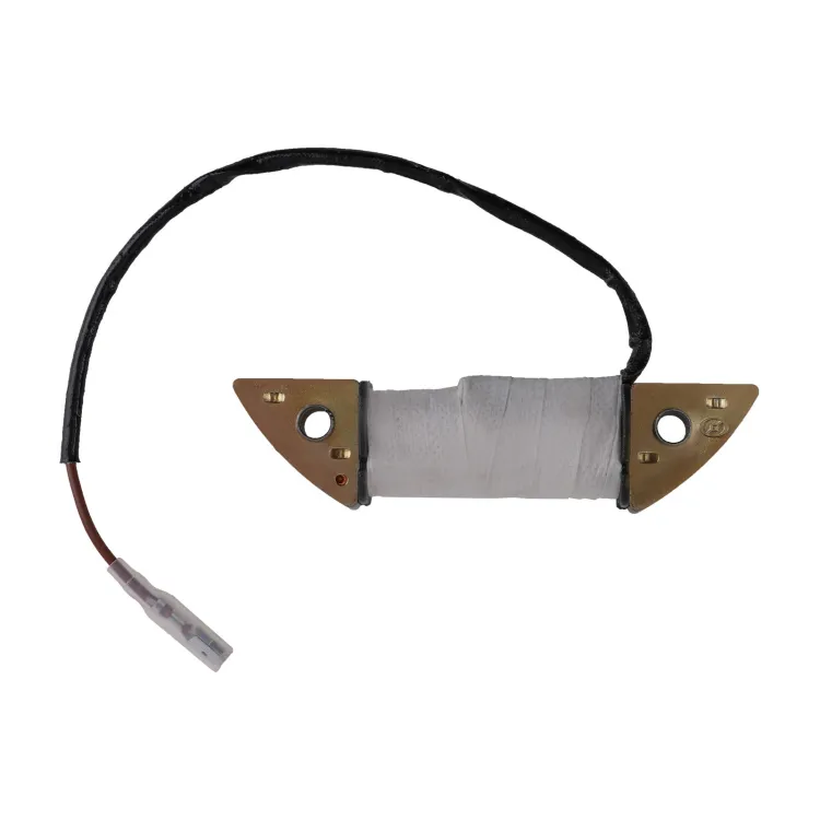 DAOHHFO Elektrische Starter Startkit, 4-takt Elektrostartkit