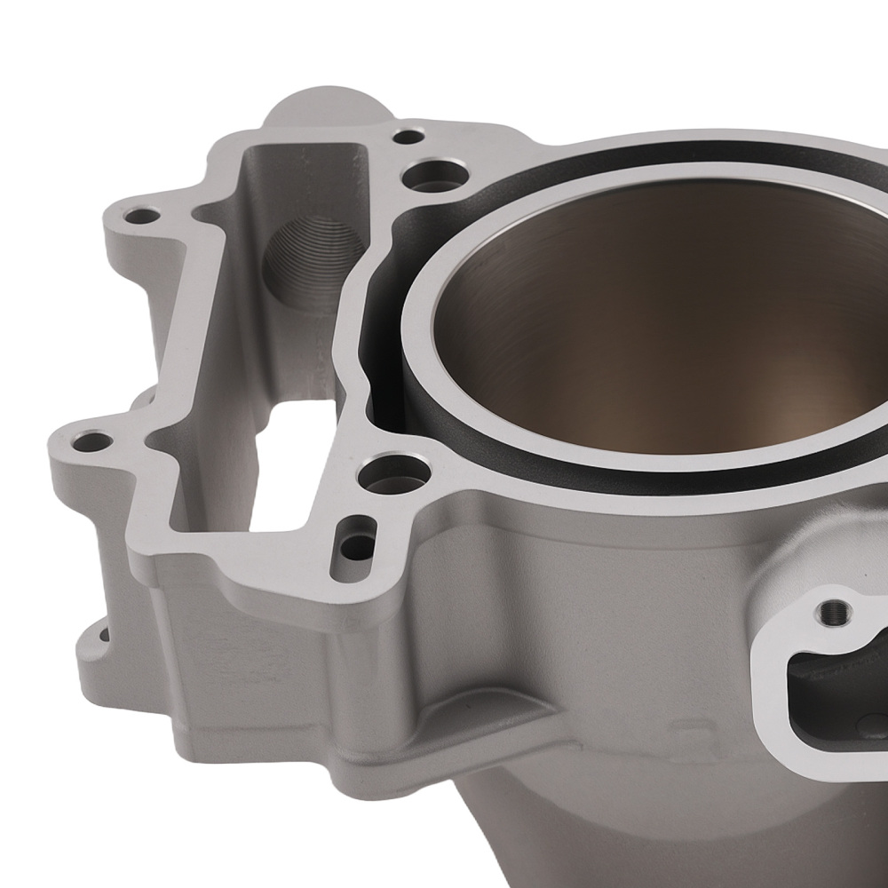 Cylinder Piston Kit compatible for Polaris RZR XP 900 RZR 4 900 2011-2014 3022278