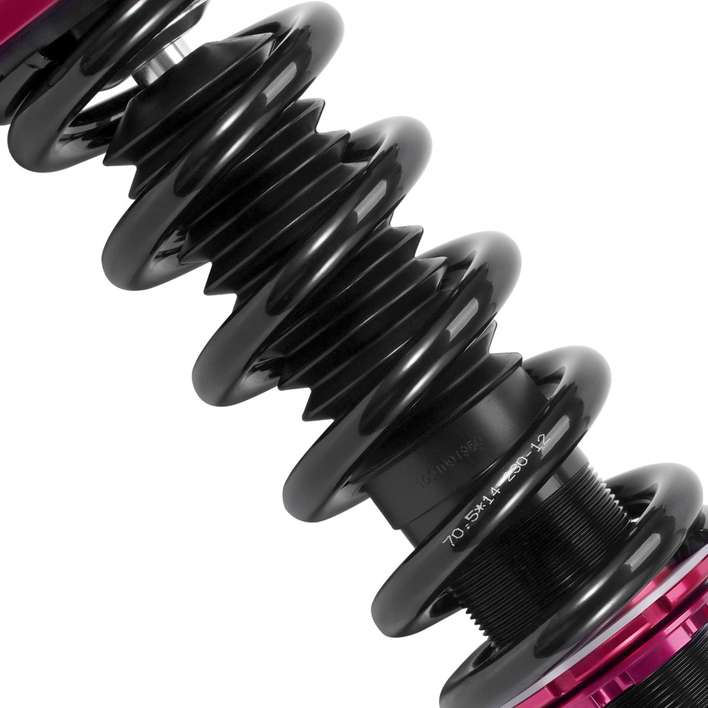Amortisseurs Combinés Filetés compatible pour Lexus GS300 GS430 S16 1998-2005