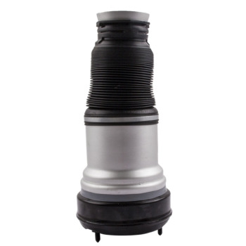 Fuelles delanteros del paseo de la bolsa de resorte de aire compatible para Mercedes Clase S W220 2203205113