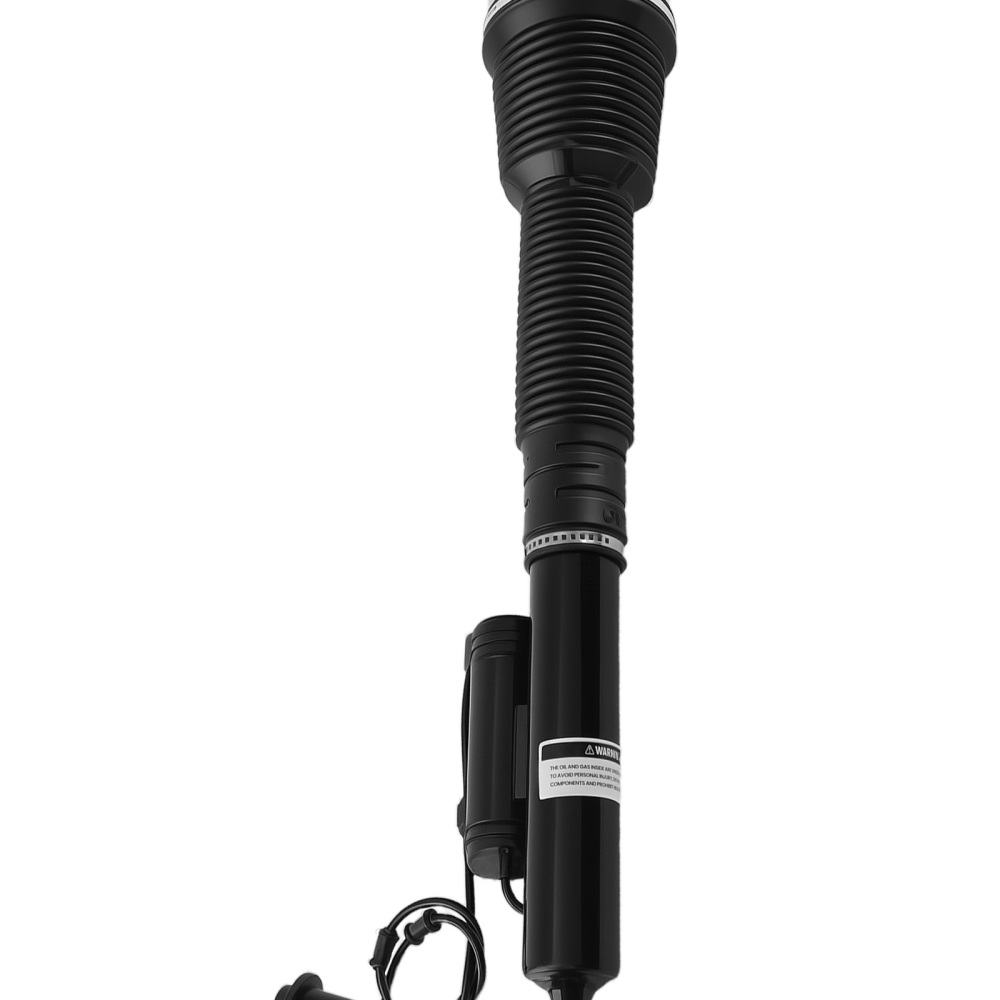 Suspension Air Spring Shock Strut Rear Pair compatible para Mercedes S Class W220 2203205013