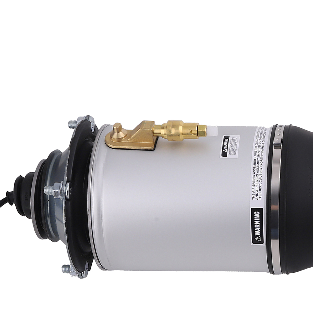 Sospensioni Pneumatiche anteriore destro Ammortizzatore compatibile per AUDI A8 / S8 4E D3