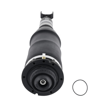 Front Air Suspension Spring Bag Strut compatible for Audi Allroad Quattro Wagon A6 C5 99-06