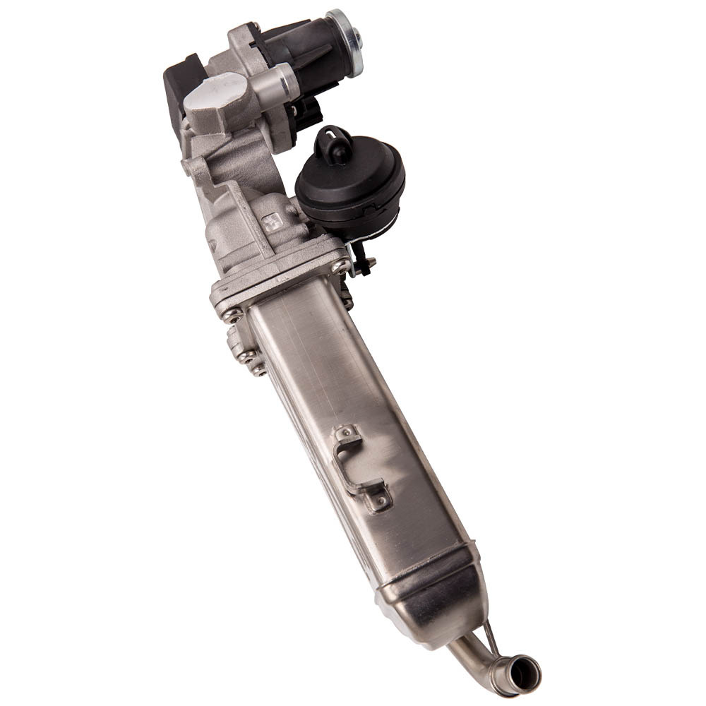 EGR Válvula compatible para VW Golf VI 1.6TDI 2.0TDI Pasado 1.6TDI compatible para Seat AlteaXL 03L131512CF