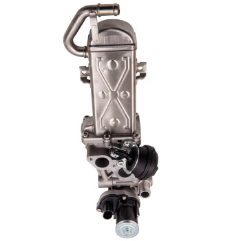 EGR Válvula compatible para VW Golf VI 1.6TDI 2.0TDI Pasado 1.6TDI compatible para Seat AlteaXL 03L131512CF
