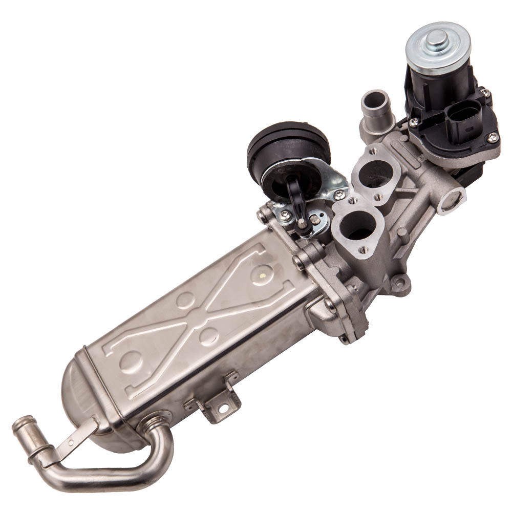 EGR Válvula compatible para VW Golf VI 1.6TDI 2.0TDI Pasado 1.6TDI compatible para Seat AlteaXL 03L131512CF
