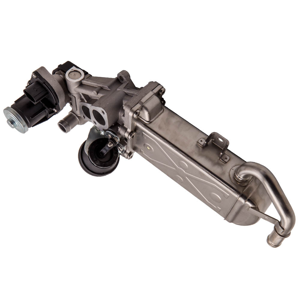 EGR Válvula compatible para VW Golf VI 1.6TDI 2.0TDI Pasado 1.6TDI compatible para Seat AlteaXL 03L131512CF