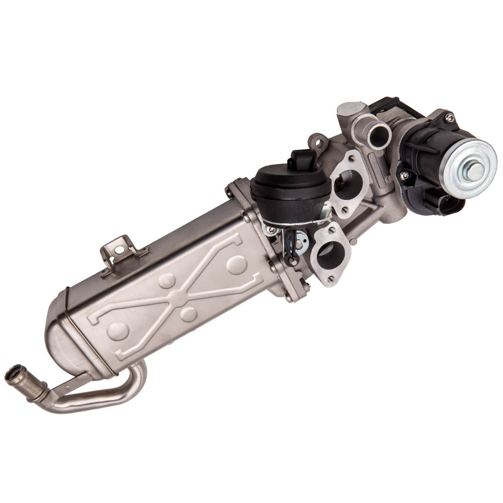 EGR Válvula compatible para VW Golf VI 1.6TDI 2.0TDI Pasado 1.6TDI compatible para Seat AlteaXL 03L131512CF