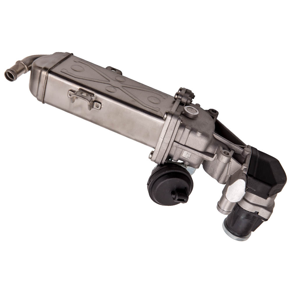 EGR Válvula compatible para VW Golf VI 1.6TDI 2.0TDI Pasado 1.6TDI compatible para Seat AlteaXL 03L131512CF