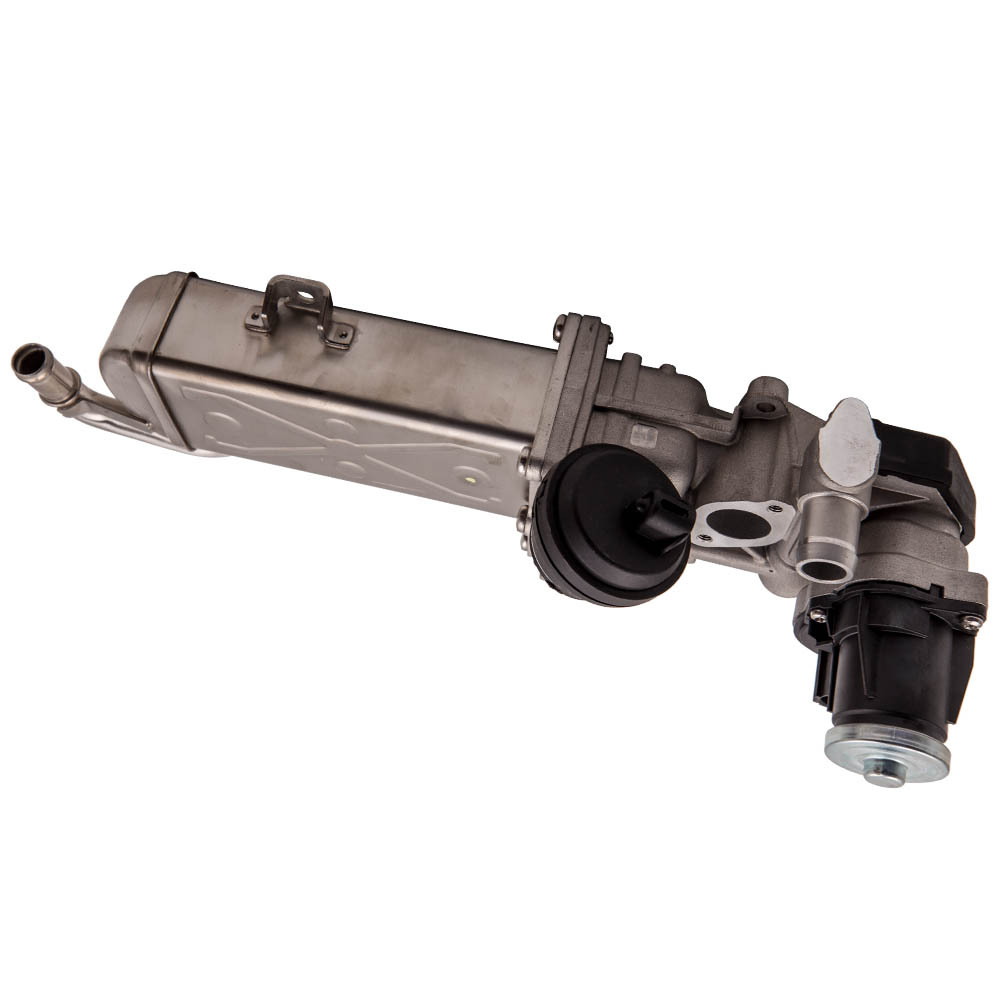 EGR Válvula compatible para VW Golf VI 1.6TDI 2.0TDI Pasado 1.6TDI compatible para Seat AlteaXL 03L131512CF