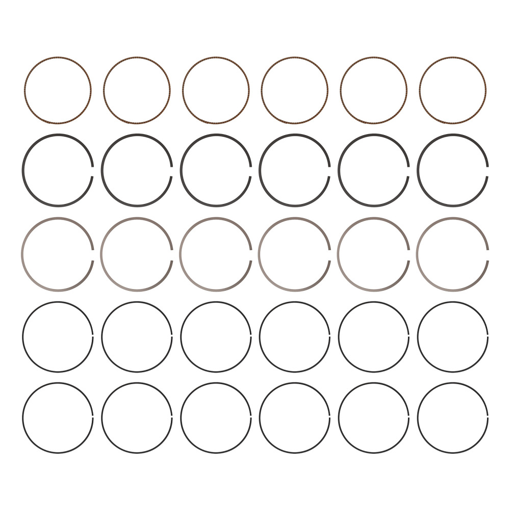 Pistons KitRings Gasket Bearings compatible for BMW M54 2.5L 3.0L E46 E39 E60 E83 E53