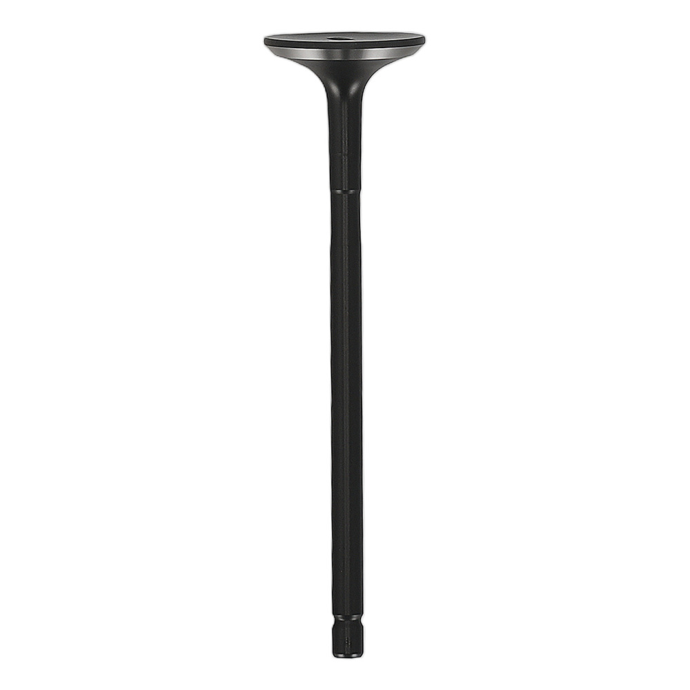Engine Exhaust Intake Valves w/ Seal compatible for Kia Forte/Forte5 2.0L 14-16 22211-2E400