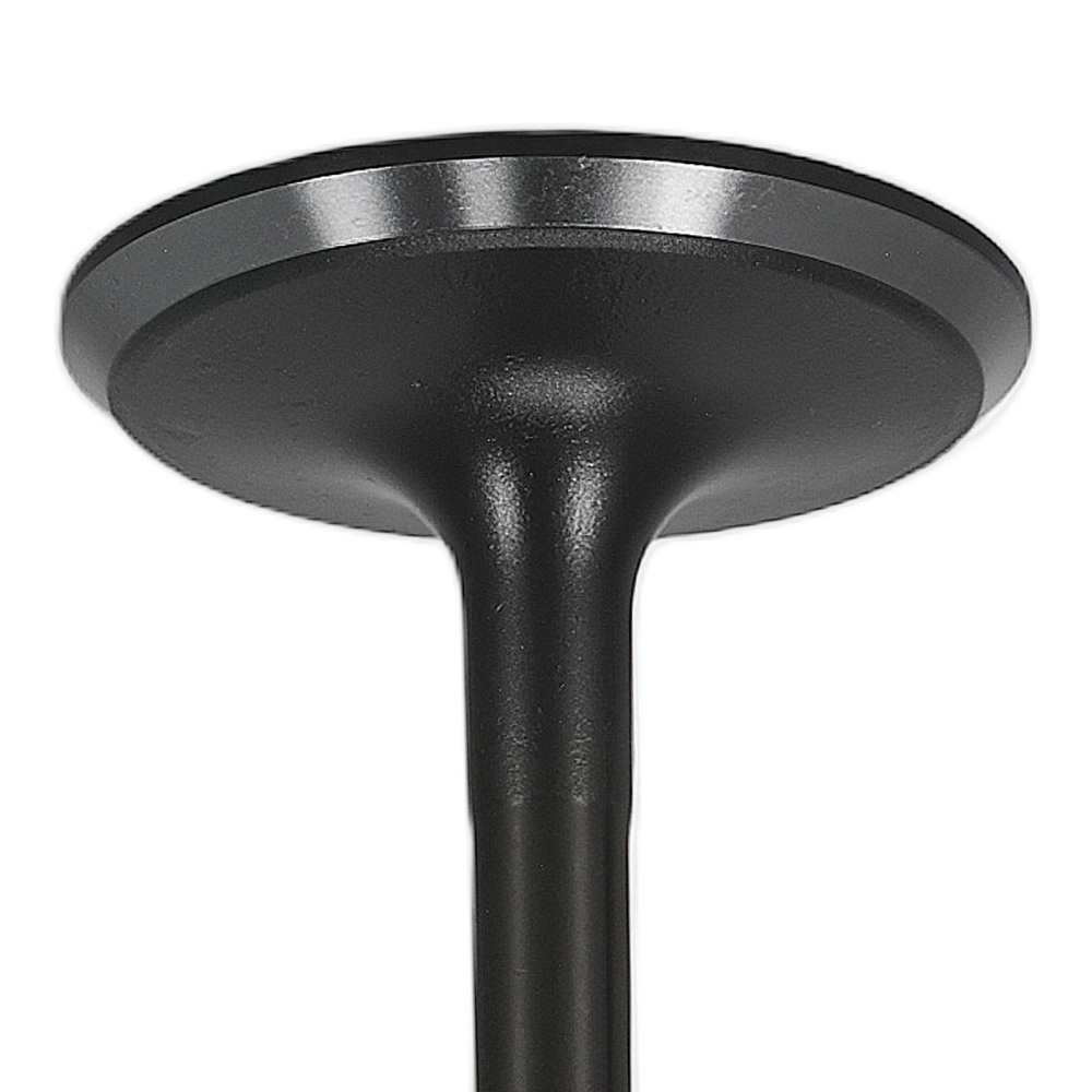 Engine Exhaust Intake Valves w/ Seal compatible for Kia Forte/Forte5 2.0L 14-16 22211-2E400
